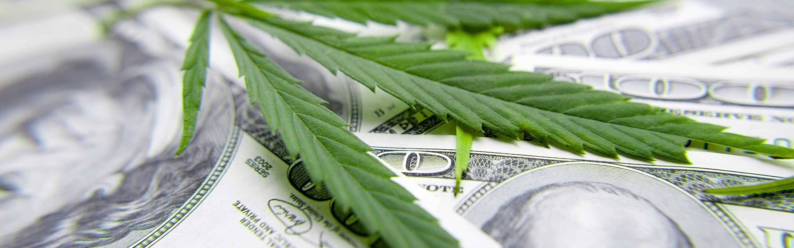 Cannabis banking